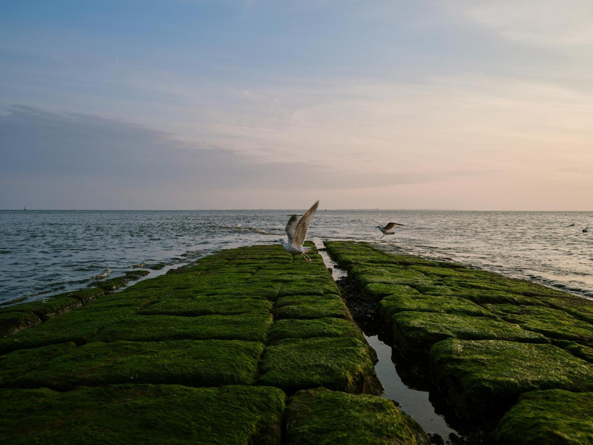 1884 Norderney Hotel ภายนอก รูปภาพ